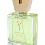 Image for Y Yves Saint Laurent
