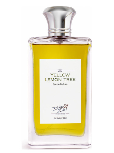 Yellow Lemon Tree Dixit & Zak