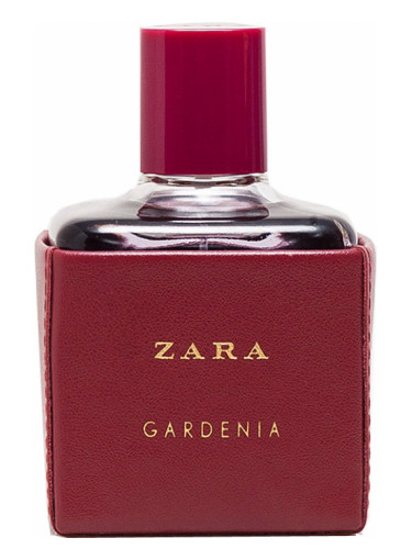 Zara Gardenia 2016 Zara