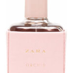 Image for Zara Orchid 2016 Zara