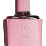 Image for Zara Orchid 2021 Zara